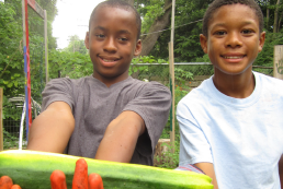 tl_files/youevanston/images/Site Images/garden.png